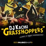 Portada para "Grasshoppers"