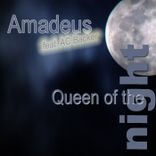 Artwork for "Queen Of The Night"