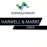 Artwork voor "Siren"