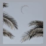 Artwork for "Shimmer"