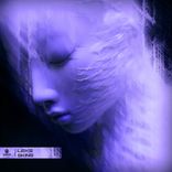 Portada para "Skins"