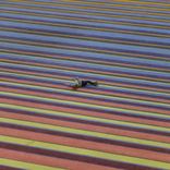 Artwork for "Haringey Leisure"