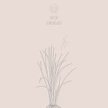 Artwork für "Le Moongrass"