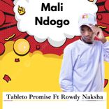 Artwork für "Mali Ndogo"