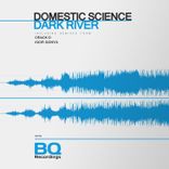 Artwork voor "Dark River"