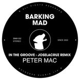 Artwork voor "In The Groove (Joselacruz Remix)"