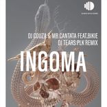 Artwork voor "Ingoma"