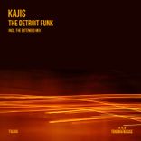 Artwork for "The Detroit Funk"