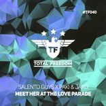Artwork voor "Meet Her at the Love Parade"