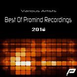 Artwork for "Best Of Promind Recordings 2016"