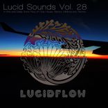 Artwork für "Lucid Sounds, Vol. 28 (A Fine and Deep Sonic Flow of Club House, Electro, Minimal and Techno)"