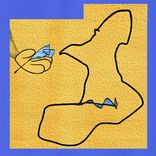 Answers for Past Meetings