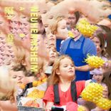 Artwork voor "Neuhermsheim"