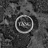 Portada para "Tha Maze"