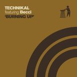 Artwork for "Burning Up"