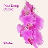 Artwork for "Orchid"