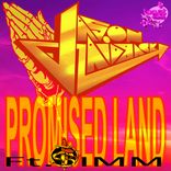 Artwork für "Promised Land"