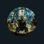 Portada para "sol_30"