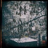 Artwork voor "Tropikamid"