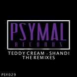 Artwork for "Shandi The Remixes"