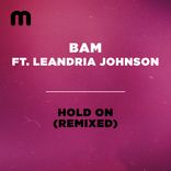 Artwork voor "Hold On (Remixed)"
