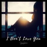 Portada para "I Don't Love You"