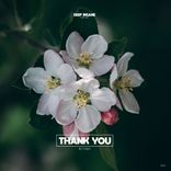 Artwork voor "Thank You"