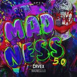 Artwork voor "Madness 5.0"