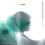 Get A Taste Of Honey