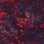 Artwork voor "Venus"