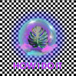 Artwork for "How I Do It"