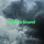 Artwork for "Nature Sound"
