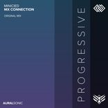 Artwork voor "Mx Connection"