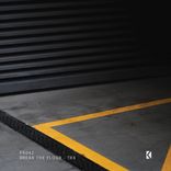 Portada para "Break The Floor"