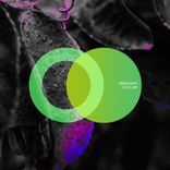 Artwork for "The Flow"