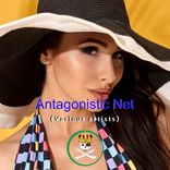 Artwork voor "Antagonistic Net"