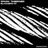 Artwork for "Blackbird EP"