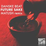 Artwork for "Future Sake (Matush Remix)"