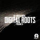 Get Digital Presents Digital Roots, Volume II - Continuous Mix