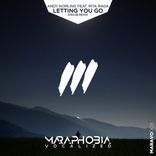 Artwork voor "Letting You Go (R3dub Remix)"