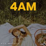 Artwork voor "4AM"