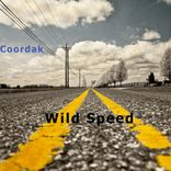 Artwork for "Wild Speed"