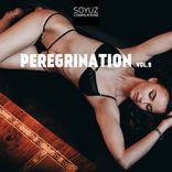 Portada para "Peregrination, Vol. 9"