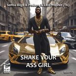Artwork for "Shake Your Ass Girl"