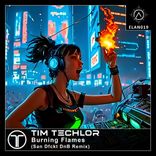 Artwork for "Burning Flames"