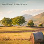 Artwork voor "Bokesound Summer 2020"