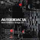 Artwork for "Mind Kinetics Bridge"