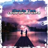 Artwork für "Love Of My Life"