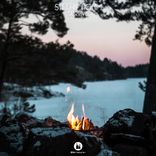 Portada para "Survive"