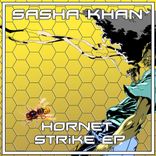 Artwork for "Hornet Strike"